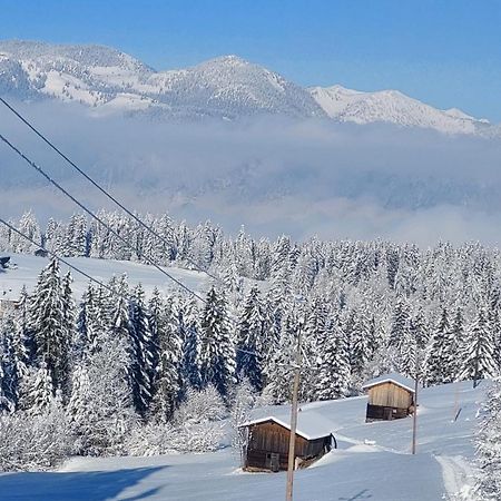 Alpenchalet Almrose Auffach Dış mekan fotoğraf