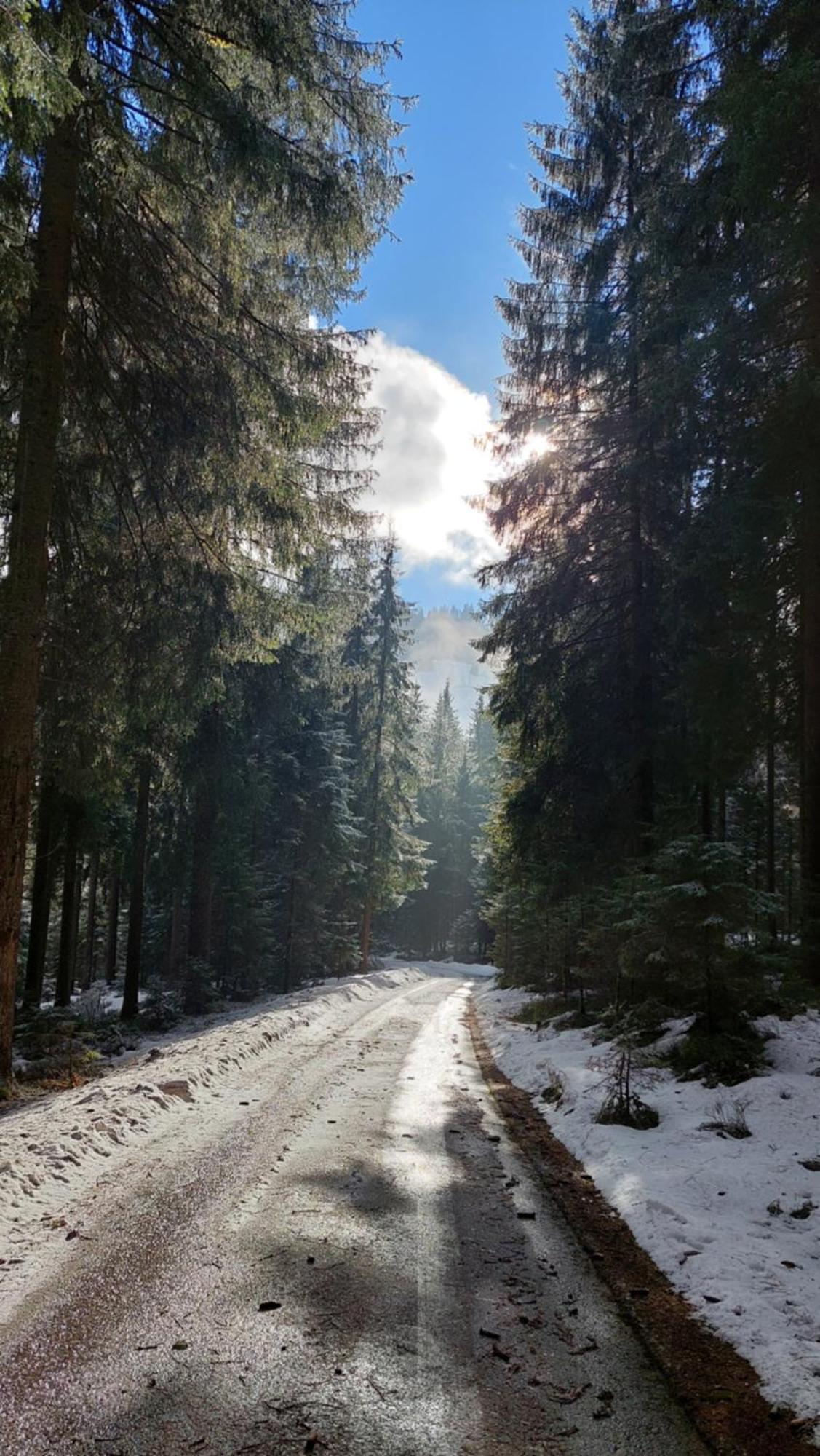 Alpenchalet Almrose Auffach Dış mekan fotoğraf