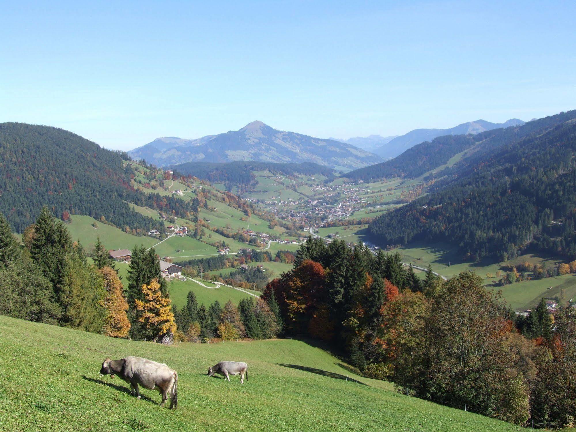 Alpenchalet Almrose Auffach Dış mekan fotoğraf